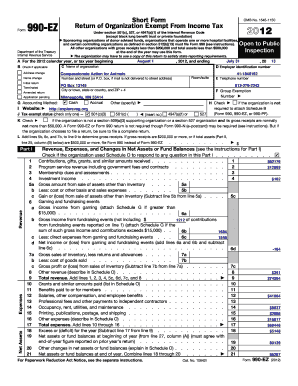 Form 990-EZ Tax Return