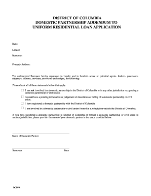 DC Domestic Partnership Addendum