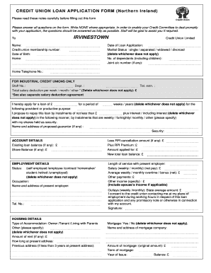 Credit Union Loan Application Form