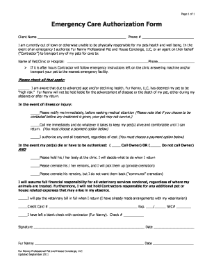 Contract for nanny services - Emergency Care Authorization Form - furnanny