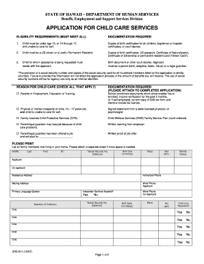 Hawaii Child Care Services Application
