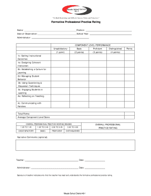 Professional Practice Rating Form