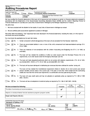 Michigan Auditing Procedures Report