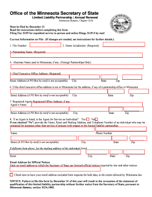 Minnesota Limited Liability Partnership Annual Renewal