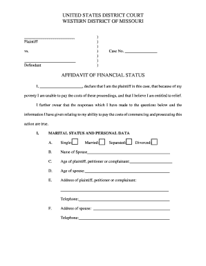 Affidavit of Financial Status