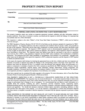 Texas Property Inspection Report