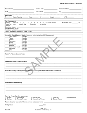 Comprehensive Nursing Assessment Form