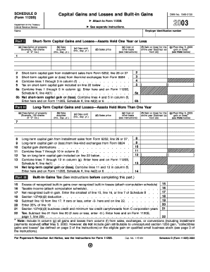 Schedule D Capital Gains and Losses