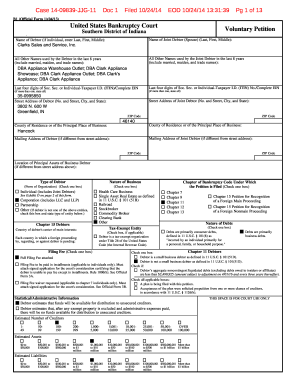 US Bankruptcy Voluntary Petition Form