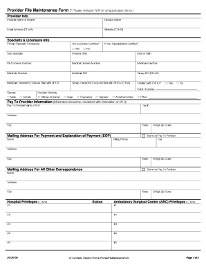 Provider File Maintenance Form