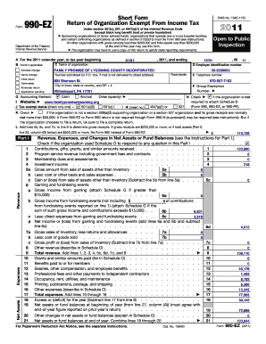 Form 990-EZ 2011