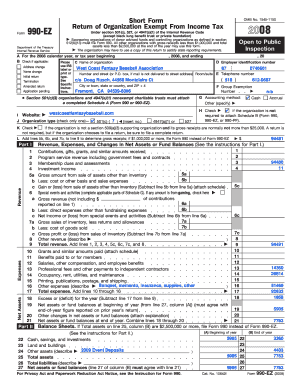Form 990-EZ 2008