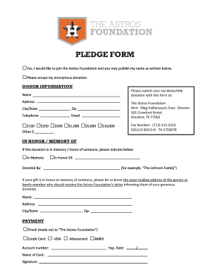 Astros Foundation Donation Pledge Form