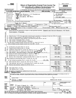 Form 990 2009