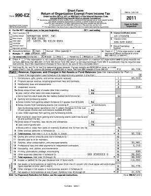 Form 990-EZ Tax Return