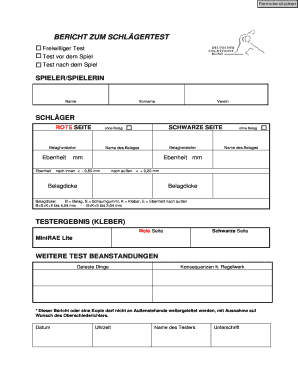 Bericht zum Schlägertest
