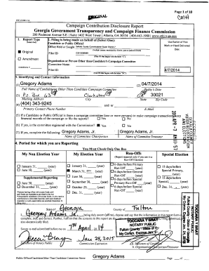 Georgia Campaign Contribution Disclosure Report