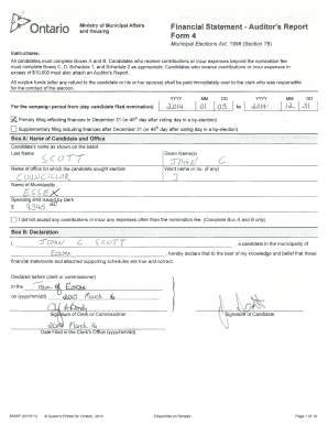 Ontario Municipal Election Financial Statement