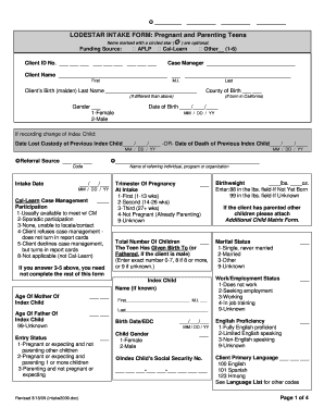Lodestar Intake Form
