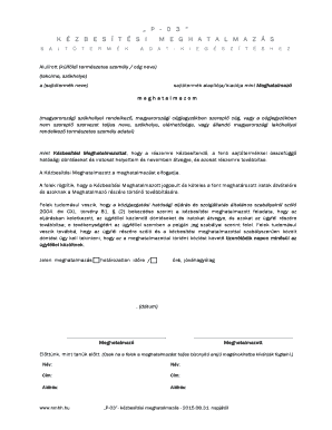 P-03 Delivery Authorization Form