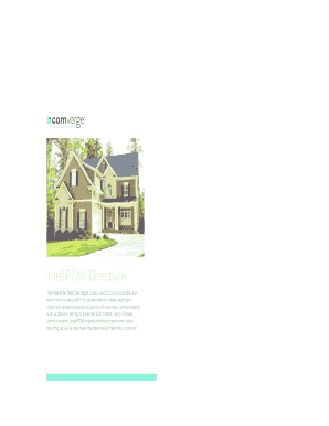 IntelliPEAK DirectLink Product Brochure