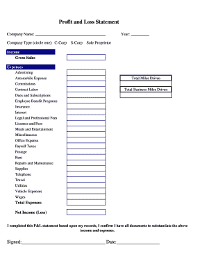 Profit and Loss Statement