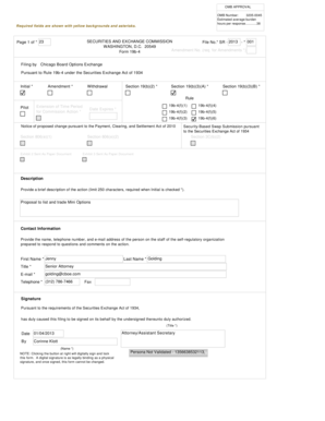 Form 19b-4 Amendment for Mini Options