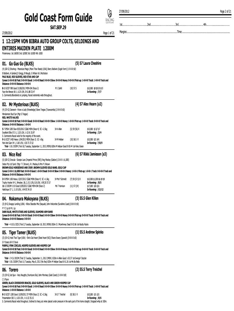 Form preview