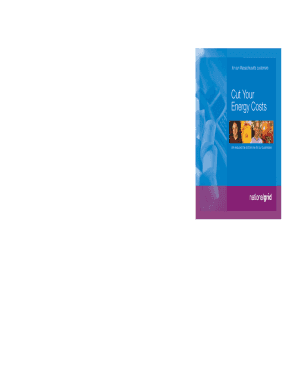 National Grid Energy Audit Request Form