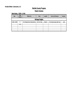 Fillable schedule - Work Schedule Form Week of 1-31-09 - DeKalb County Department ...