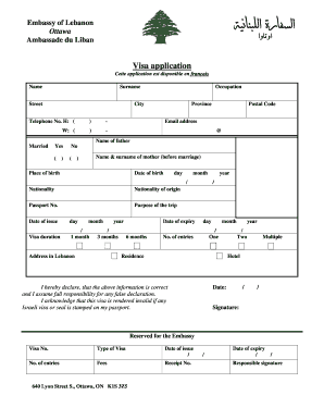 Formulaire de demande de visa du Liban