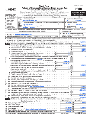 Form 990-EZ 2008