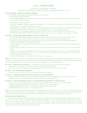 Self Reporting Personal Property Report