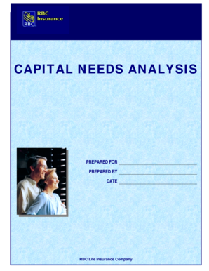 Capital Needs Analysis Form