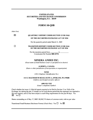 Form 10-QSB Quarterly Report