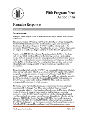 Fifth Program Year Action Plan Narrative Responses GENERAL Executive Summary The Executive Summary is required