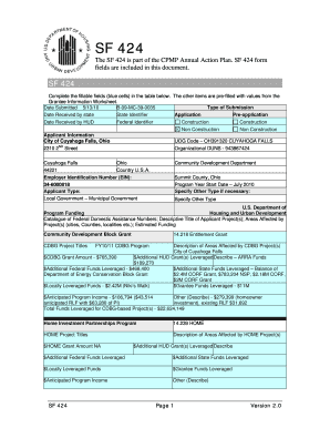 SF 424 Form