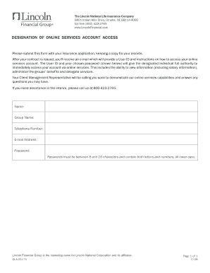 Designation of Online Services Account Access Form