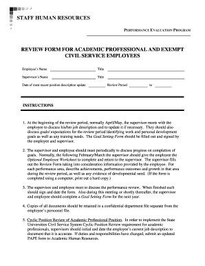 Academic Professional Performance Review Form