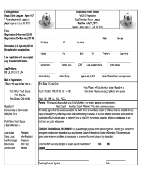 Form preview picture