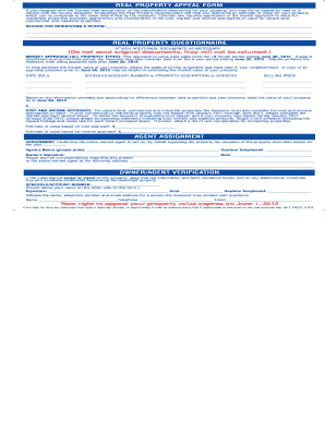 Colorado Real Property Appeal Form