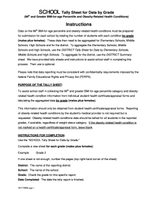 School Tally Sheet for BMI and Health Conditions