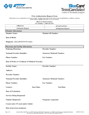 Prior Authorization Request Form