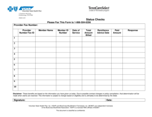 Healthcare Remittance Advice Form