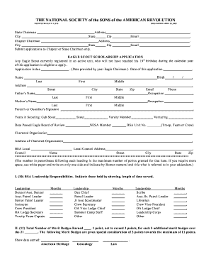 Eagle Scout College Scholarship Application