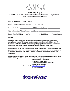 CHW-NEC Project Work Plan Format for Regional Core - chw-nec