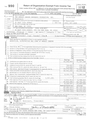 Form 990 (2012) - The Breast Cancer Research Foundation