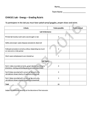 CHM101 Energy Lab Grading Rubric