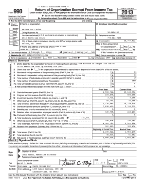 IRS Form 990 2013