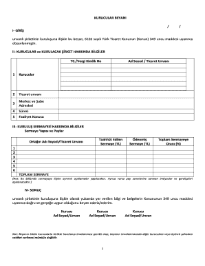 Turkish Company Foundation Declaration